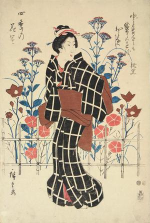 Utagawa Hiroshige: Young Woman and Autumn Flowers, from the series Flower Gardens in the Four Seasons - University of Wisconsin-Madison