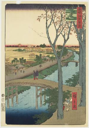 歌川広重: The Koume Embankment, no. 104 from the series One-hundred Views of Famous Places in Edo - ウィスコンシン大学マディソン校