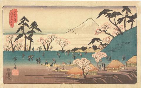 Utagawa Hiroshige: Flower Viewing at Asuka Hill, from the series Famous Places in Edo - University of Wisconsin-Madison