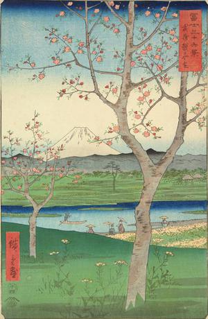 歌川広重: Koshigaya in Musashi Province, no. 14 from the series Thirty-six Views of Mt. Fuji - ウィスコンシン大学マディソン校