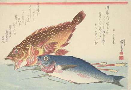 Utagawa Hiroshige: Kasago and Isaki with Ginger Roots, from a series of Fish Subjects - University of Wisconsin-Madison