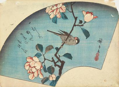 Utagawa Hiroshige: Paddy Bird on a Camellia Branch, from a series of Bird and Flower Subjects - University of Wisconsin-Madison