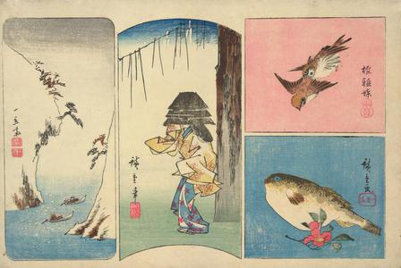 歌川広重: River in Snow, Woman Wearing a Kettle, Sparrows, and Blowfish and Camellia, from a series of Harimaze Prints - ウィスコンシン大学マディソン校