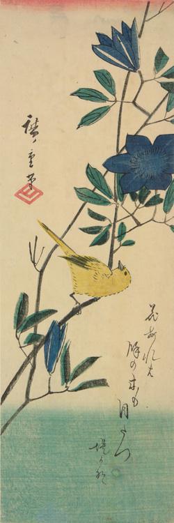 Utagawa Hiroshige: Canary and Clematis - University of Wisconsin-Madison