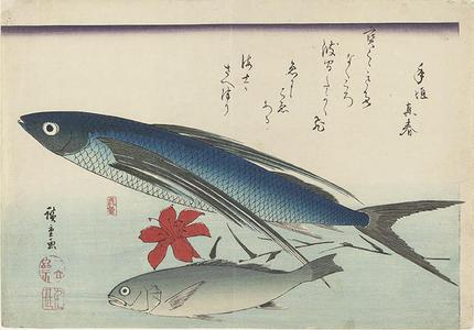 歌川広重: Flying Fish, Ishimochi, and Lily, from a series of Fish Subjects - ウィスコンシン大学マディソン校