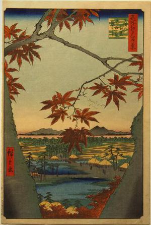 Utagawa Hiroshige: Maple Leaves at Mama, the Tekona Shrine, and Tsugi Bridge, no. 94 from the series One-hundred Views of Famous Places in Edo - University of Wisconsin-Madison