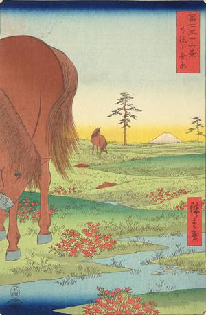 歌川広重: Kogane Plain in Shimosa Province, no. 33 from the series Thirty-six Views of Mt. Fuji - ウィスコンシン大学マディソン校