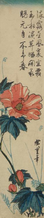 Utagawa Hiroshige: Hibiscus and Ferns - University of Wisconsin-Madison