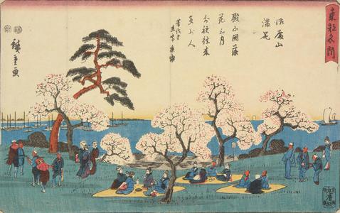 Utagawa Hiroshige: Cherry Trees in Full Bloom at Goten Hill, from the series Famous Places in the Eastern Capital - University of Wisconsin-Madison