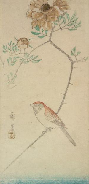 Utagawa Hiroshige: Sparrow and Rose, from a series of Bird and Flower Subjects - University of Wisconsin-Madison