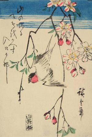 Utagawa Hiroshige: Swallow and Cherry Blossoms - University of Wisconsin-Madison