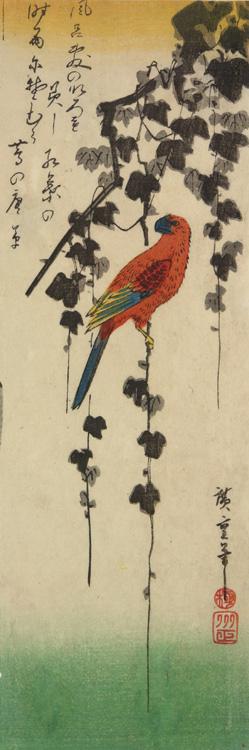 Utagawa Hiroshige: Parrot on an Ivy Branch - University of Wisconsin-Madison