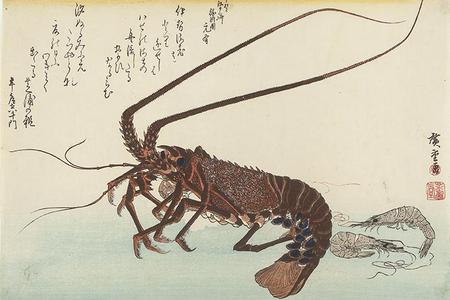 Utagawa Hiroshige: Two Shrimp and Lobster, from a series of Fish Subjects - University of Wisconsin-Madison