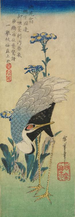 Utagawa Hiroshige: White-Naped Crane and Asters - University of Wisconsin-Madison
