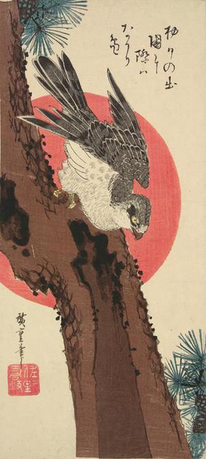 Utagawa Hiroshige: Goshawk, Pine Tree, and Rising Sun - University of Wisconsin-Madison