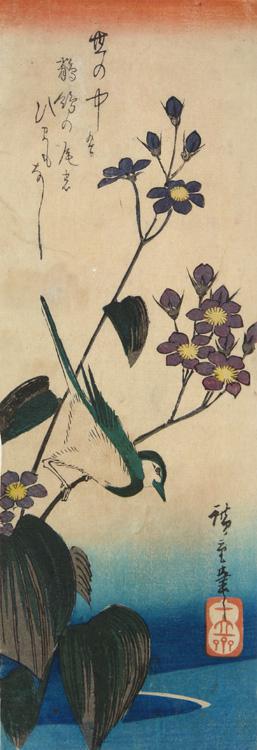 Utagawa Hiroshige: Wagtail and Kikyo Flowers - University of Wisconsin-Madison