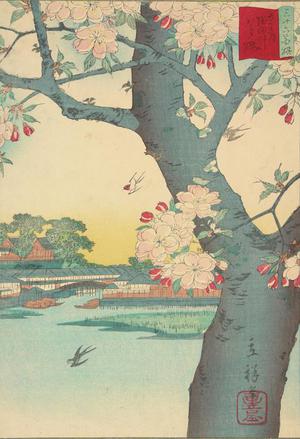 二歌川広重: Double Cherry Blossoms by the Sumida River, no. 9 from the series Thirty-six Flowers at Famous Places in Tokyo - ウィスコンシン大学マディソン校