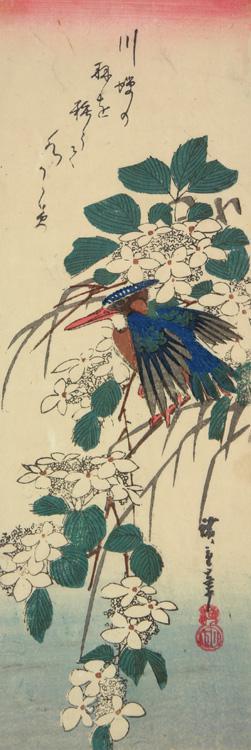 歌川広重: Kingfisher and Flowering Plant - ウィスコンシン大学マディソン校