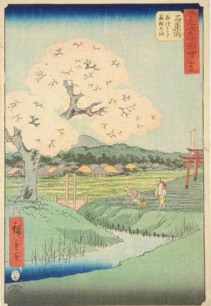 Utagawa Hiroshige: Yoshitsune's Cherry Tree and the Shrine to Noriyori at Ishiyakushi, no. 45 from the series Pictures of the Famous Places on the Fifty-three Stations (Vertical Tokaido) - University of Wisconsin-Madison