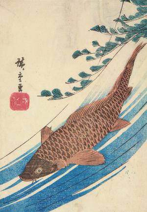 Utagawa Hiroshige: Carp and Waterweeds - University of Wisconsin-Madison