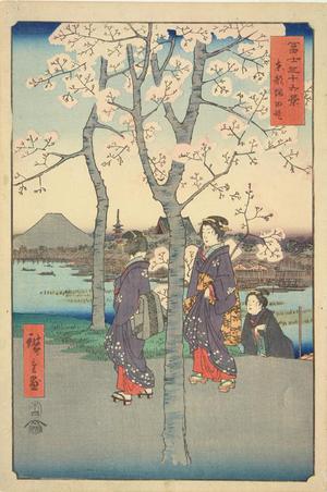 Utagawa Hiroshige: The Sumida Embankment in the Eastern Capital, no. 7 from the series Thirty-six Views of Mt. Fuji - University of Wisconsin-Madison
