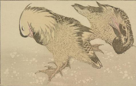 葛飾北斎: Untitled (Two Ducks), from the portfolio Hokusai's Shashin Gwofu - ウィスコンシン大学マディソン校