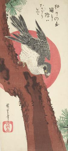 Utagawa Hiroshige: Goshawk, Pine Tree, and Rising Sun - University of Wisconsin-Madison