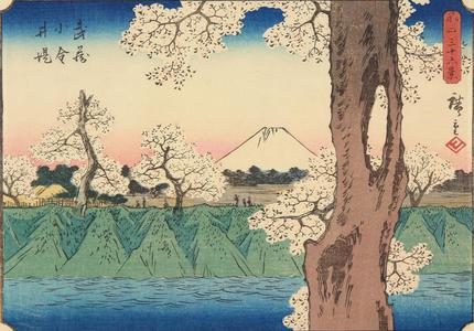 Utagawa Hiroshige: The Embankment at Koganei in Musashi Province, no. 33 from the series Thirty-six Views of Mt. Fuji - University of Wisconsin-Madison