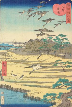 Utagawa Hiroshige II: Descending Geese at Shirahige, from the series Eight Views of the Sumida River - University of Wisconsin-Madison