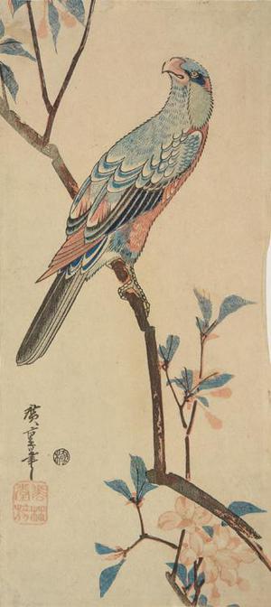 Japanese Print "Green Parrot on Crab Apple Branch" by Utagawa Hiroshige, 歌川広重 (Utagawa Hiroshige)