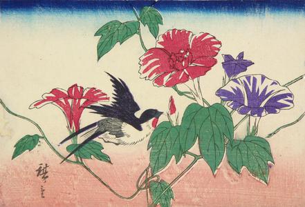 Utagawa Hiroshige: Swallow and Morning Glories - University of Wisconsin-Madison