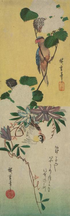 Utagawa Hiroshige: Parrot and Hydrangeas, Sparrow and Clematis, from a series of Bird and Flower Subjects - University of Wisconsin-Madison