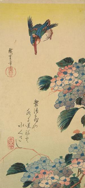 Utagawa Hiroshige: Kingfisher and Hydrangeas - University of Wisconsin-Madison