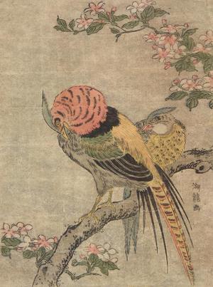 磯田湖龍齋: Copper Pheasants on Cherry Tree - ウィスコンシン大学マディソン校