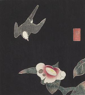 伊藤若冲: Swallow and Camellia, no. 4 or 6 from the series Six Genuine Pictures by Ito Jakuchu - ウィスコンシン大学マディソン校