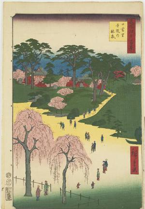 Utagawa Hiroshige: Temple Gardens in Nippori, no. 14 from the series One-hundred Views of Famous Places in Edo - University of Wisconsin-Madison