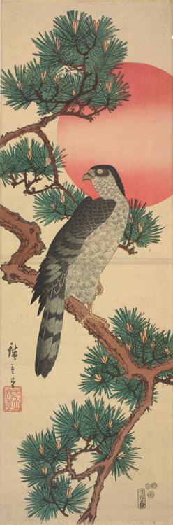 Utagawa Hiroshige: Goshawk, Pine, and Rising Sun - University of Wisconsin-Madison