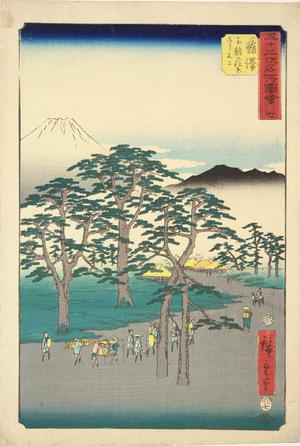 Utagawa Hiroshige: Mt. Fuji at the Left from the Pine Forest of Nanki near Fujisawa, no. 7 from the series Pictures of the Famous Places on the Fifty-three Stations (Vertical Tokaido) - University of Wisconsin-Madison