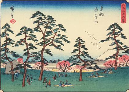 Utagawa Hiroshige: Mt. Asuka in the Eastern Capital, no. 22 from the series Thirty-six Views of Mt. Fuji - University of Wisconsin-Madison