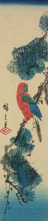 Utagawa Hiroshige: Parrot on a Pine Branch - University of Wisconsin-Madison