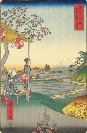 Utagawa Hiroshige: The Teahouse with a View of Mt. Fuji at Zoshigaya, no. 9 from the series Thirty-six Views of Mt. Fuji - University of Wisconsin-Madison