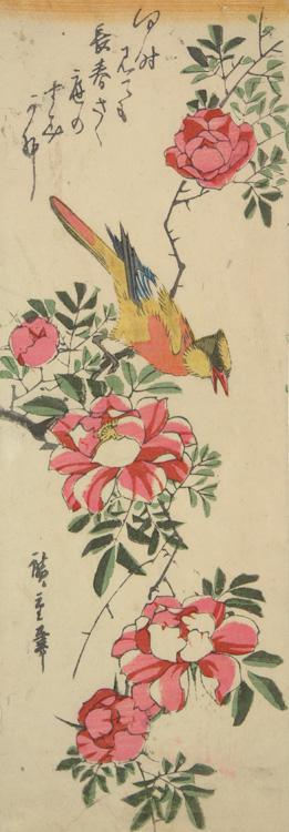 Utagawa Hiroshige: Yellow Bird on a Rose Branch - University of Wisconsin-Madison