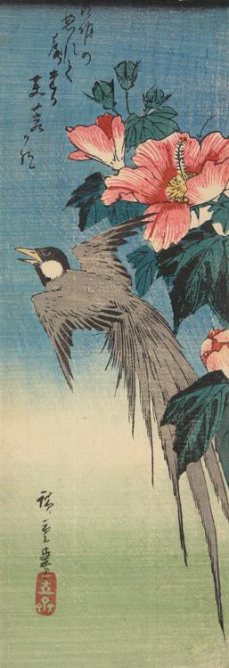 Utagawa Hiroshige: Long-tailed Magpie? and Hibiscus - University of Wisconsin-Madison