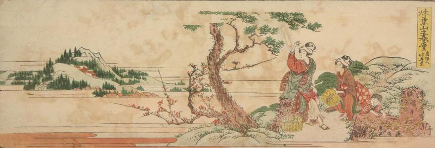 Katsushika Hokusai: Spring View of Mt. Akiba, no.30 from a series of Stations of the Tokaido - University of Wisconsin-Madison