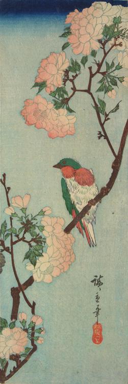 Utagawa Hiroshige: Bird on a Cherry Branch - University of Wisconsin-Madison