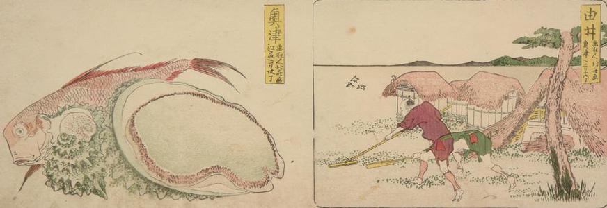 葛飾北斎: Fish, Abalone, and Turban Shells at Okitsu: 1.83 Ri to Ejiri, no.19 from a series of Stations of the Tokaido - ウィスコンシン大学マディソン校