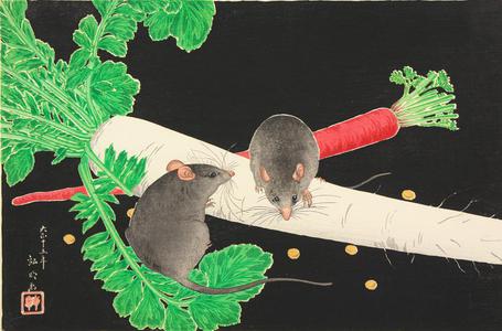 Takahashi Hiroaki: Mice, Radish, and Carrot - University of Wisconsin-Madison