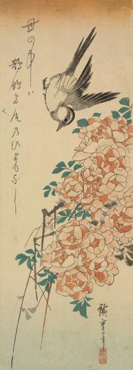 Utagawa Hiroshige: Gray Wagtail and Rose Bush - University of Wisconsin-Madison