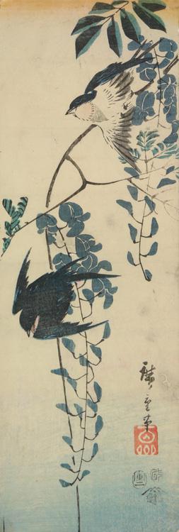 歌川広重: Swallows and Wisteria, from a series of Bird and Flowers Subjects - ウィスコンシン大学マディソン校