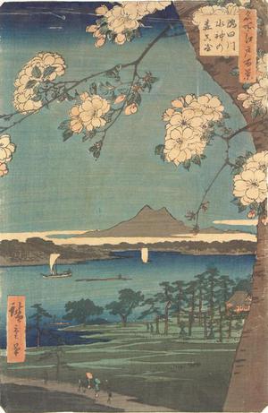 Utagawa Hiroshige: Suijin Grove and Massaki on the Sumida River, no. 35 from the series One-hundred Views of Famous Places in Edo - University of Wisconsin-Madison